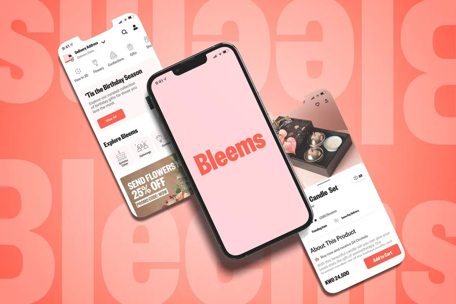 Items Details Page Design (Bleems)