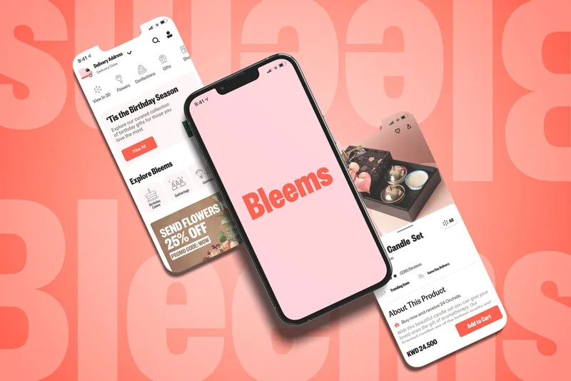 Items Details Page Design (Bleems)