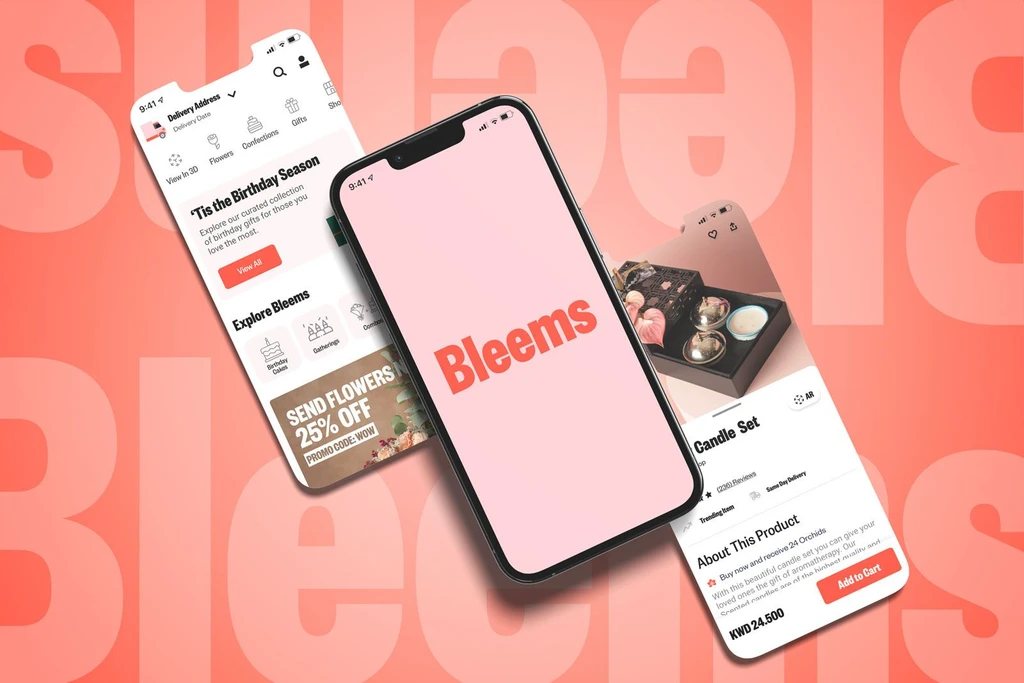 Items Details Page Design (Bleems)